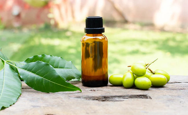 The Power of Neem Oil: Benefits for Mature Skin