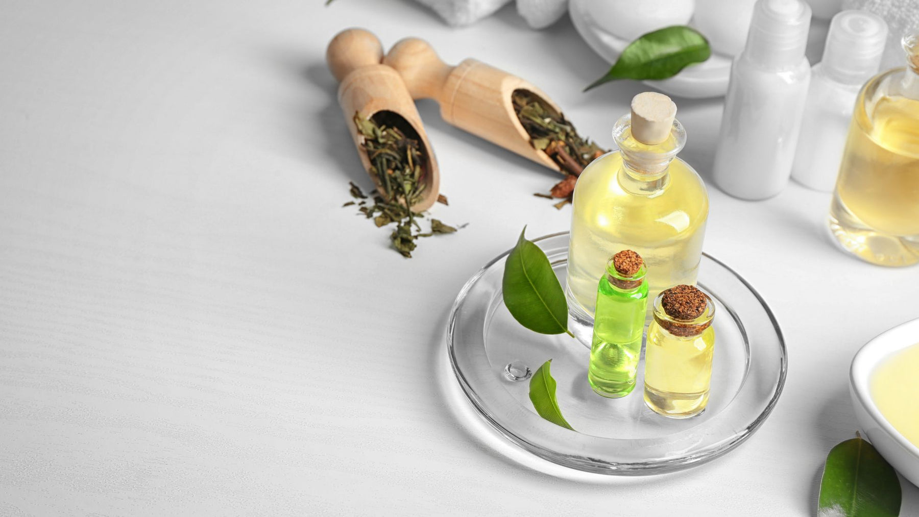 Natural Beauty: Our Top Three Product Picks and Tips for Skin Care with Tea Tree Oil