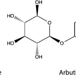 Decoding Skin Brightening Ingredients: Alpha Arbutin vs. Hydroquinone