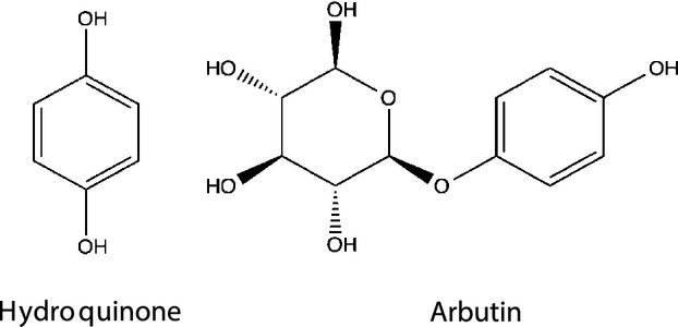 Decoding Skin Brightening Ingredients: Alpha Arbutin vs. Hydroquinone Mitchell Brands Decoding Skin Brightening Ingredients: Alpha Arbutin vs. Hydroquinone Mitchell Brands