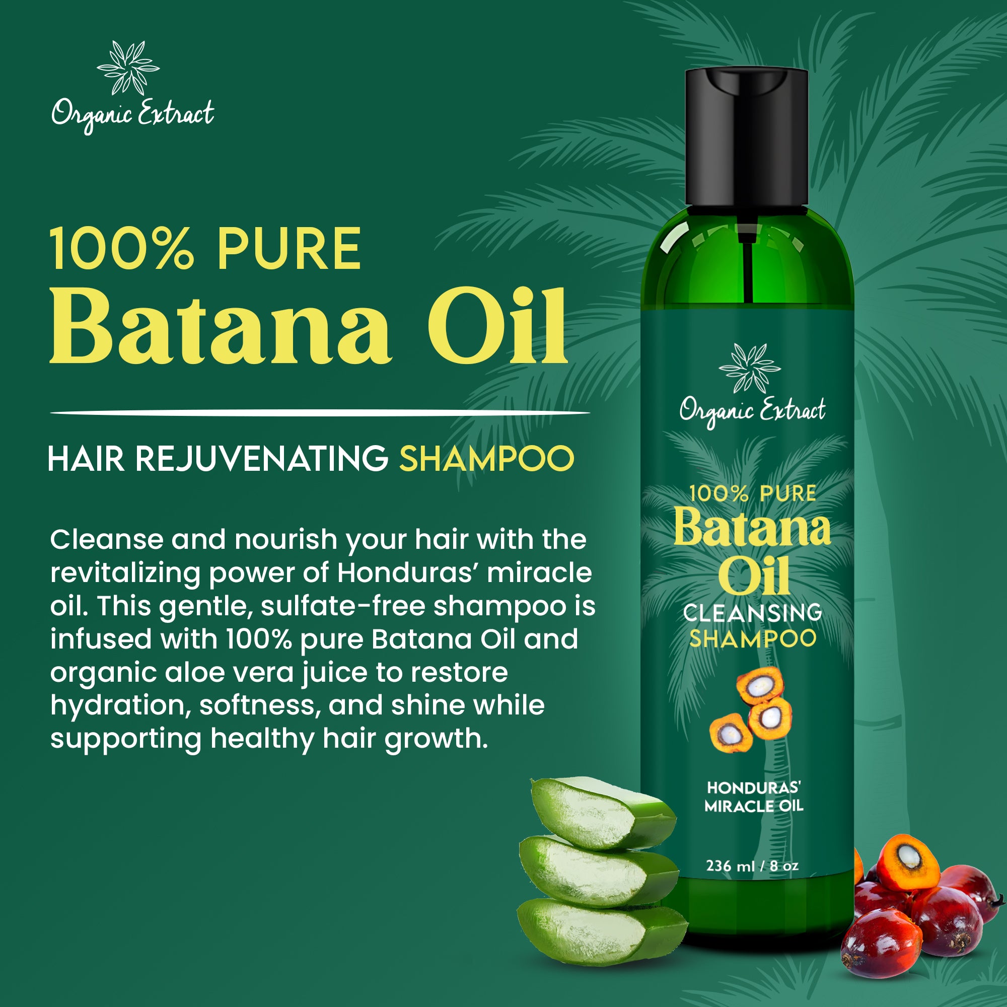 Organic Extract Batana Oil Hair Shampoo 8 oz/236ml - Mitchell Brands