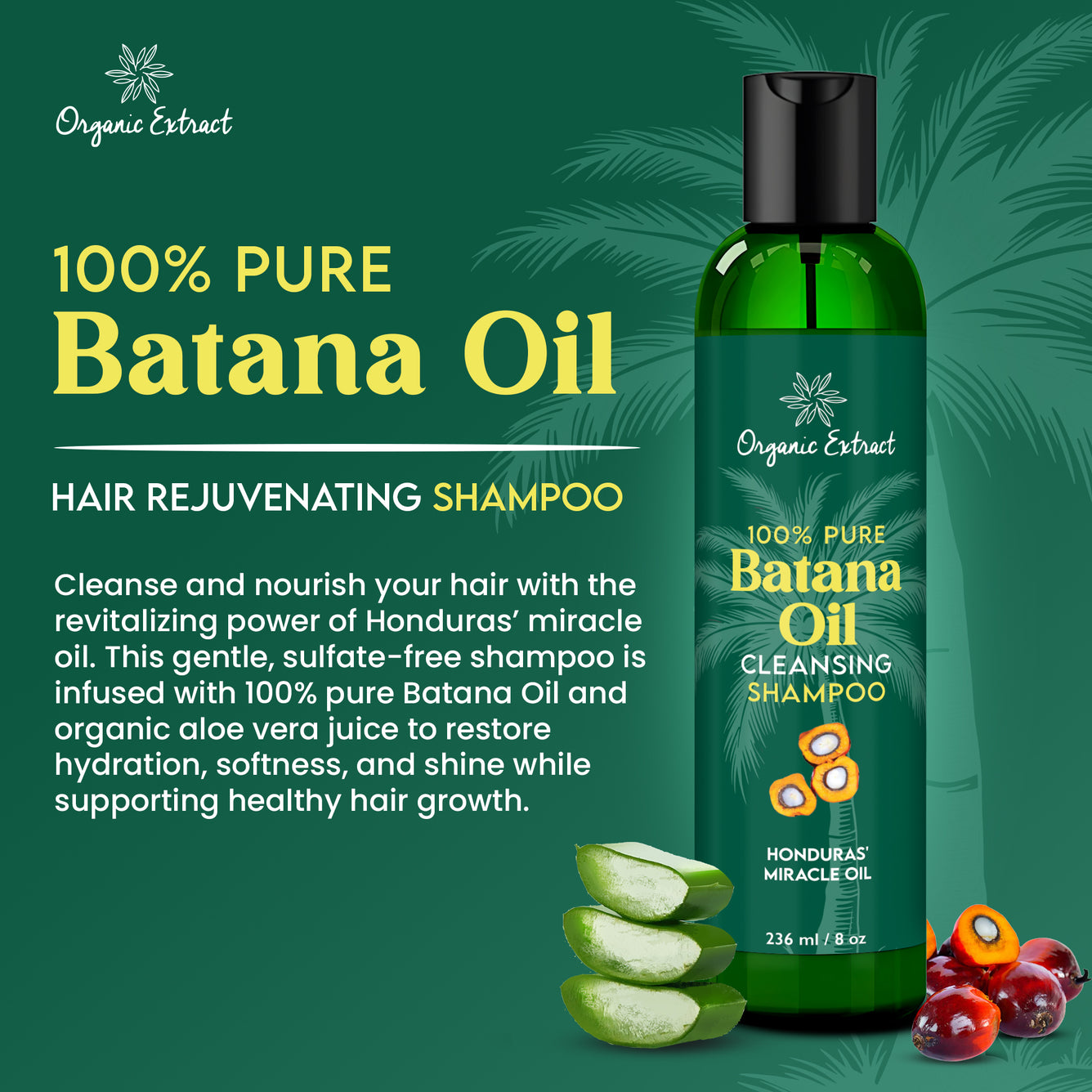 Organic Extract Batana Oil Hair Shampoo 8 oz/236ml - Mitchell Brands
