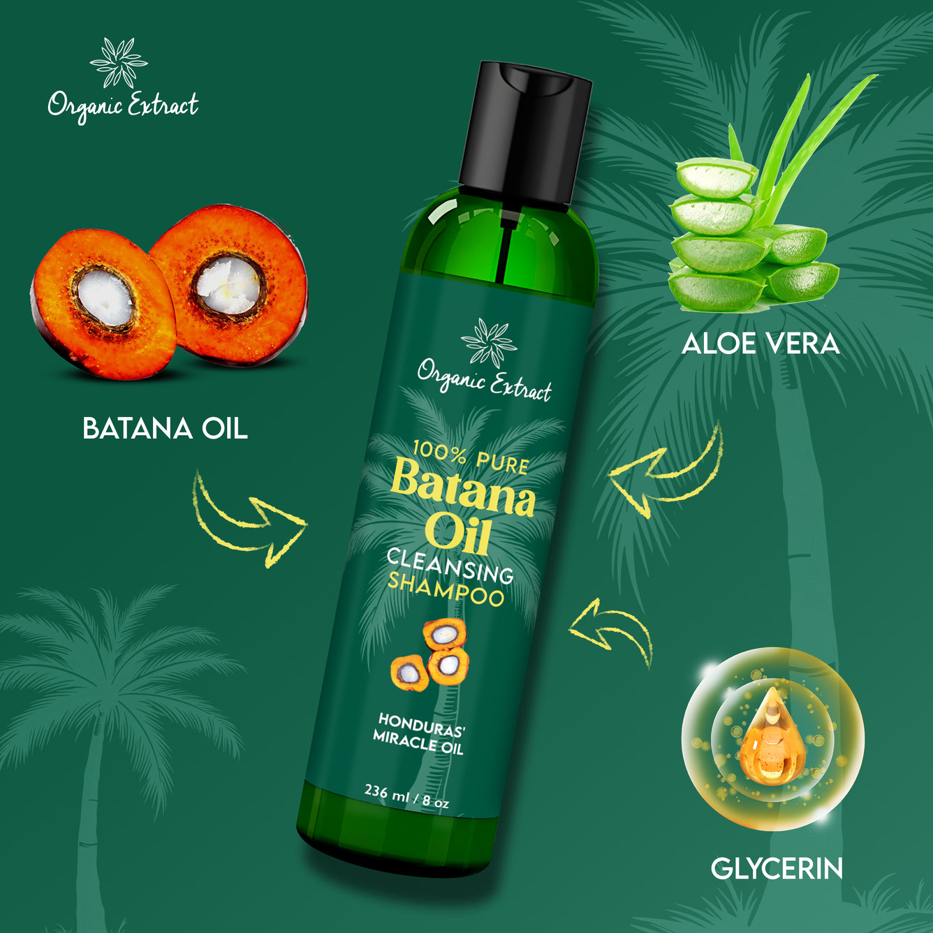 Organic Extract Batana Oil Hair Shampoo 8 oz/236ml - Mitchell Brands