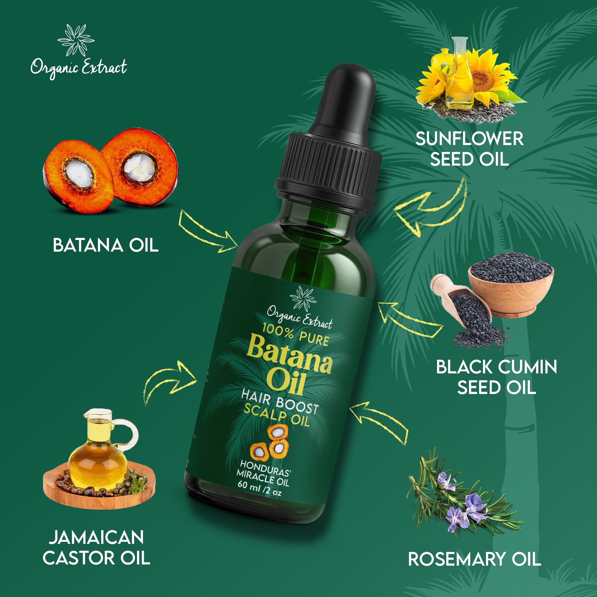 Organic Extract Batana Oil Stimulating Hair Growth Oil 2 oz/ 60ml - Mitchell Brands