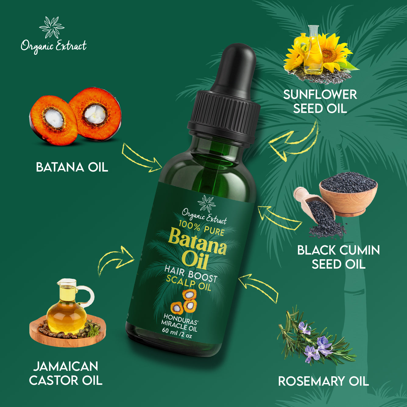 Organic Extract Batana Oil Stimulating Hair Growth Oil 2 oz/ 60ml - Mitchell Brands