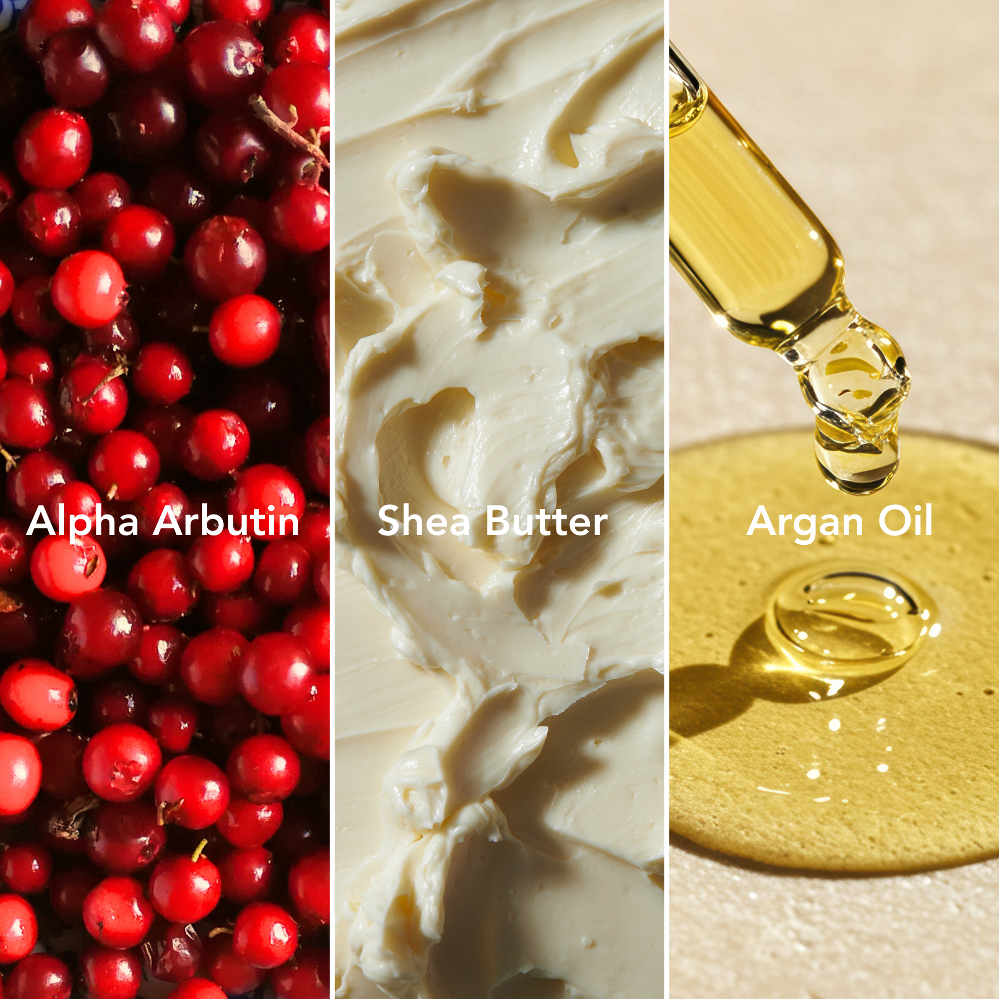 LightenUp Anti-Aging Brightening Serum - 30ml / 1 Fl Oz - Mitchell Brands