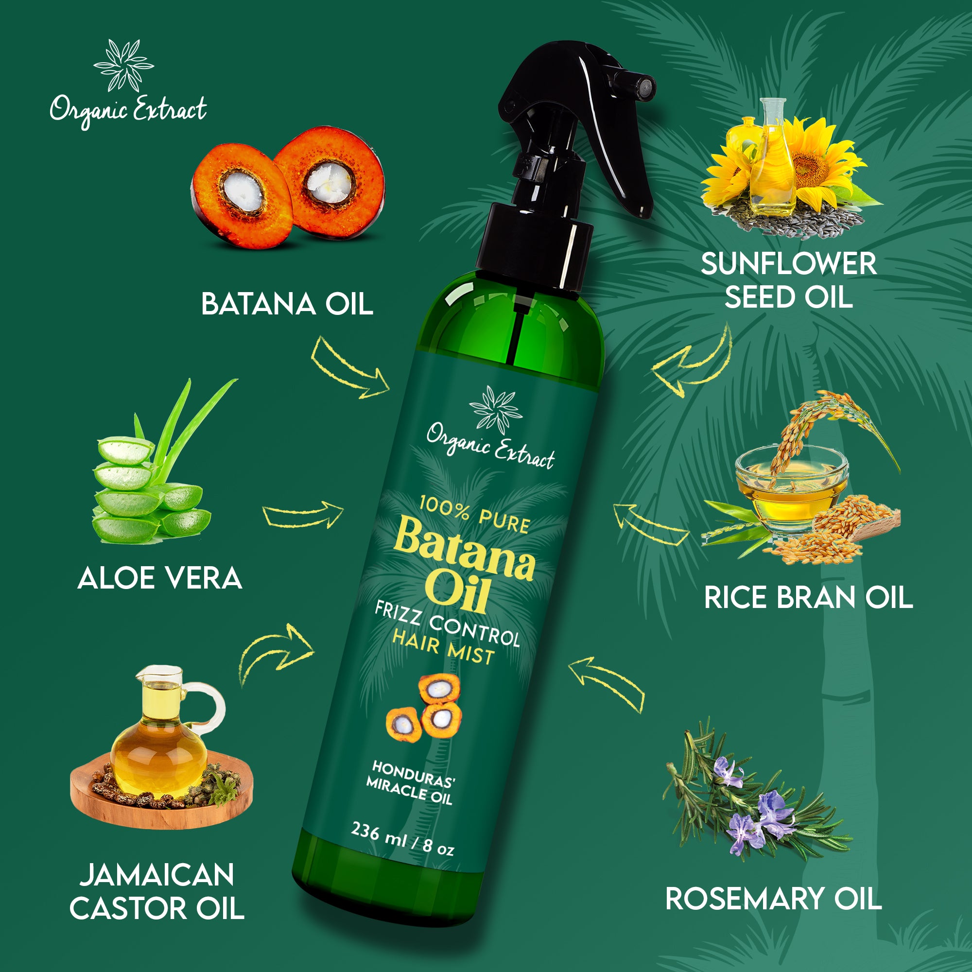 Organic Extract Batana Oil Stimulating Leave in Hair Growth Mist 8 oz / 236ml - Mitchell Brands