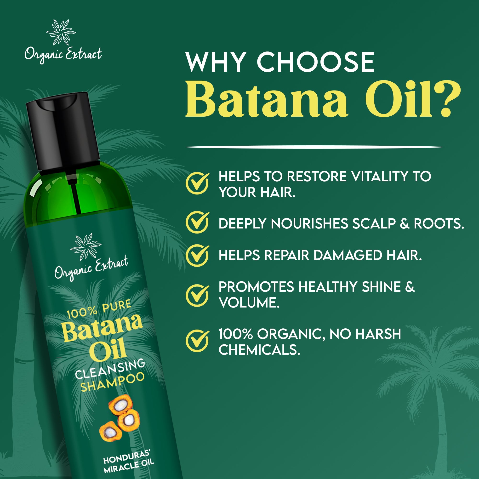 Organic Extract Batana Oil Hair Shampoo 8 oz/236ml - Mitchell Brands