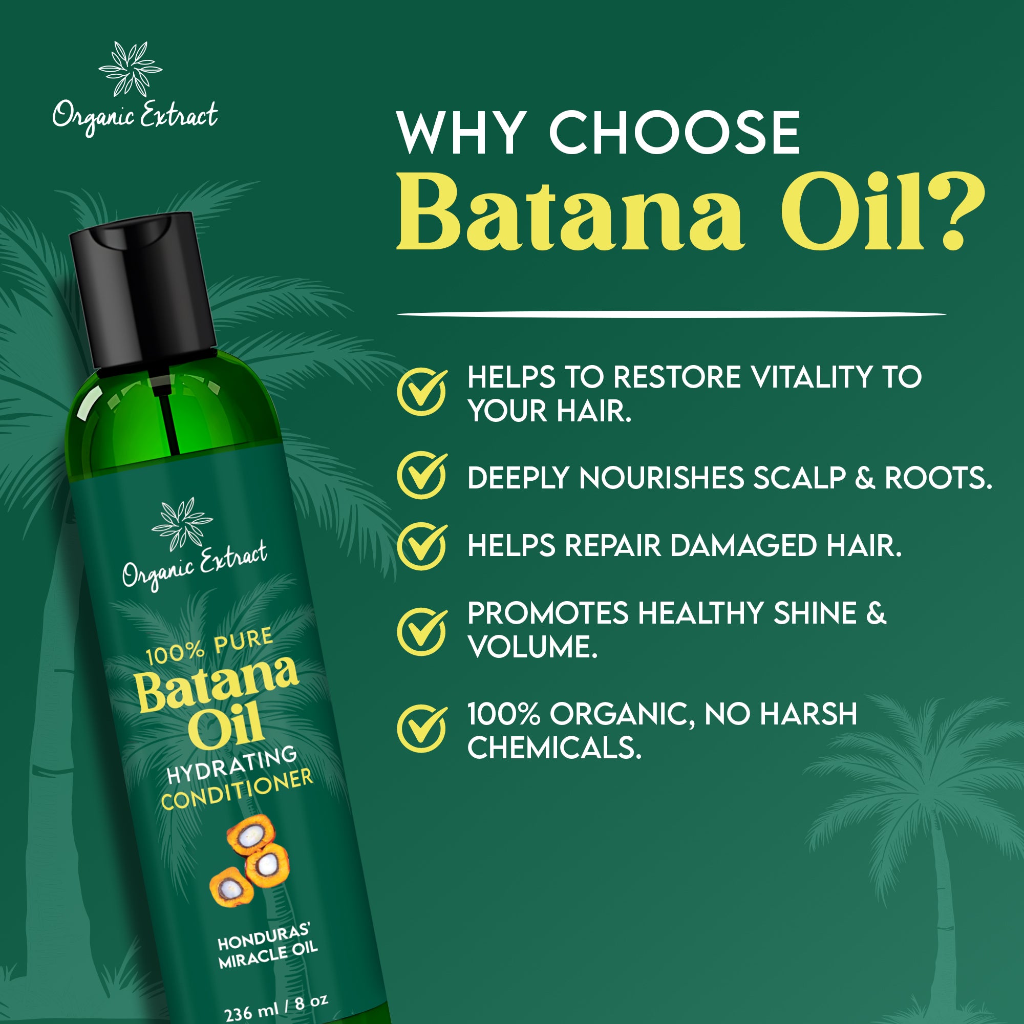 Organic Extract Batana Oil Hair Conditioner 8 oz/ 236ml - Mitchell Brands