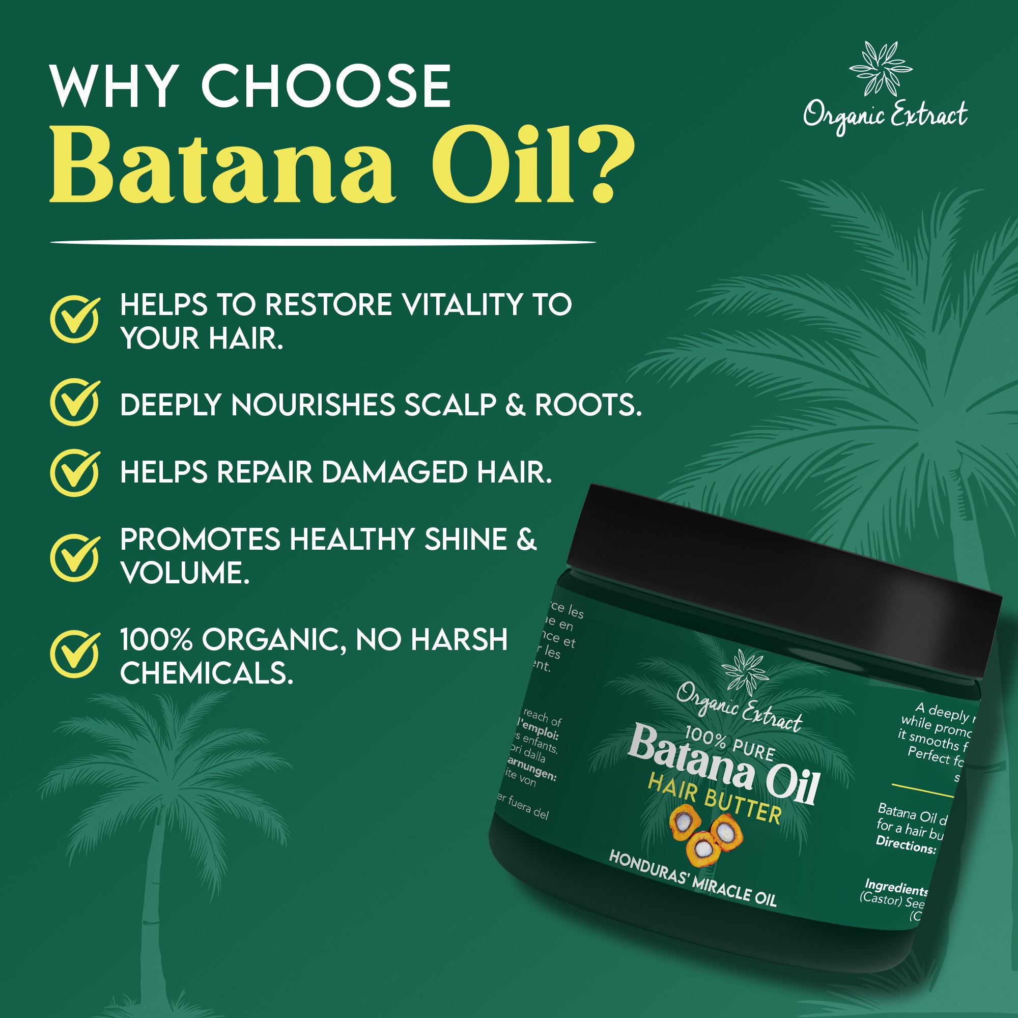 Organic Extract Batana Oil Hair Butter 4 oz / 118ml - Mitchell Brands