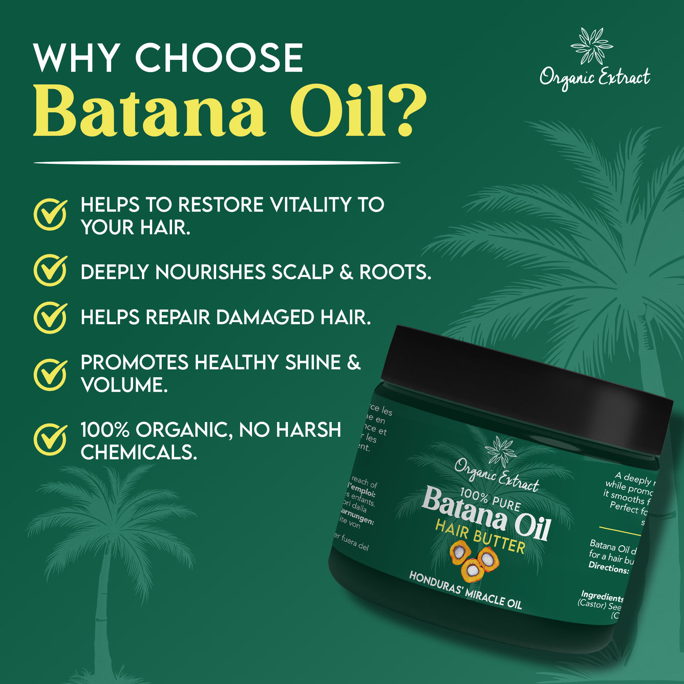 Organic Extract Batana Oil Hair Butter 4 oz / 118ml - Mitchell Brands