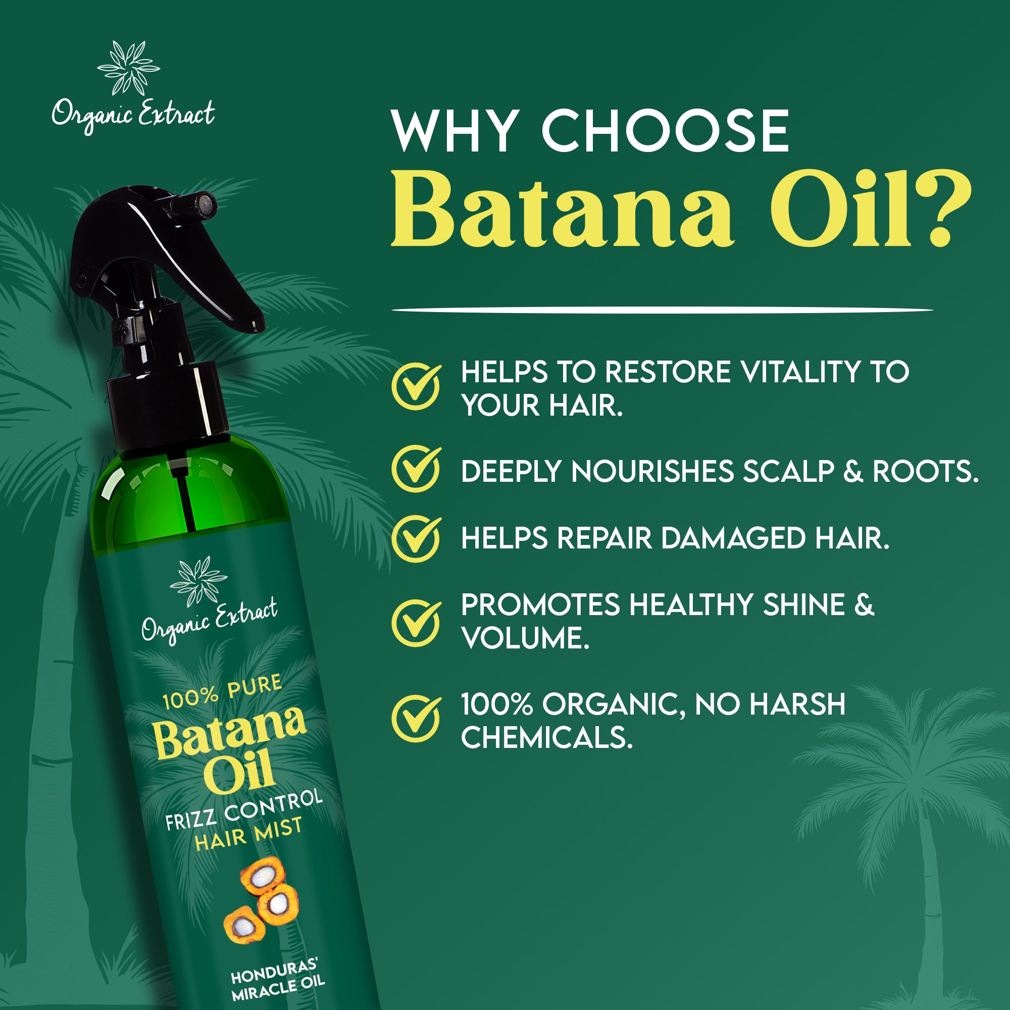 Organic Extract Batana Oil Stimulating Leave in Hair Growth Mist 8 oz / 236ml - Mitchell Brands