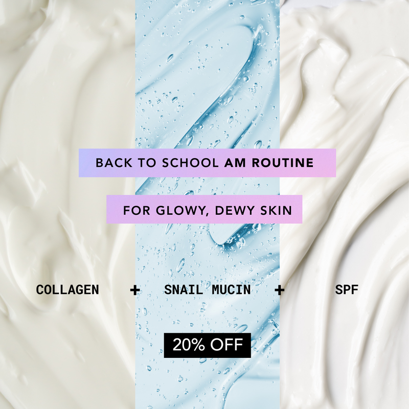 LightenUp Back to School Bundle