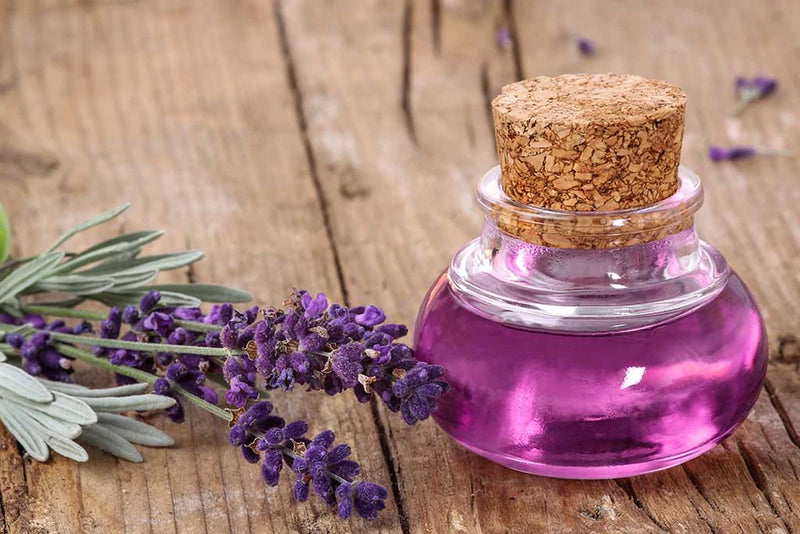 Organic Extract Lavender Oil 15ml Mitchell Brands - Mitchell Brands - Skin Lightening, Skin Brightening, Fade Dark Spots, Shea Butter, Hair Growth Products